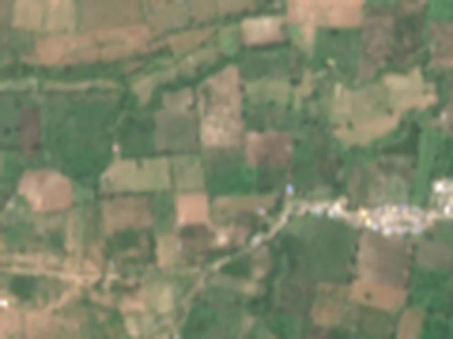 True-colour Sentinel-2 image around one field near Katol, 12 October 2026