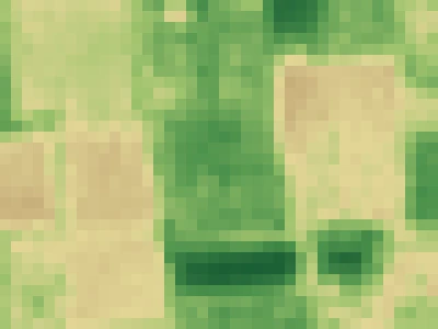NDVI greenness of the same field on 19 Feb 2026