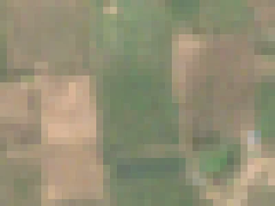 Sentinel-2 true-colour image of one field near Katol on 19 Feb 2026, each square 10 m