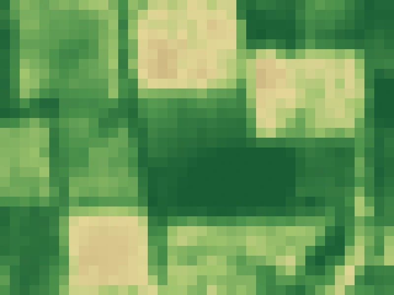 Greenness (NDVI) of the same squares: dark green is dense canopy, pale is bare or dry