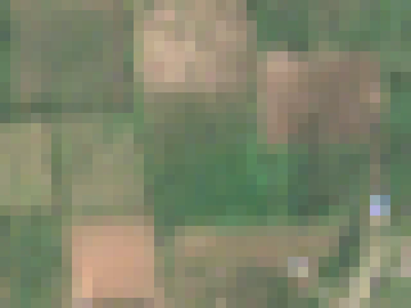 The same field up close: each visible square is one 10 m Sentinel-2 pixel