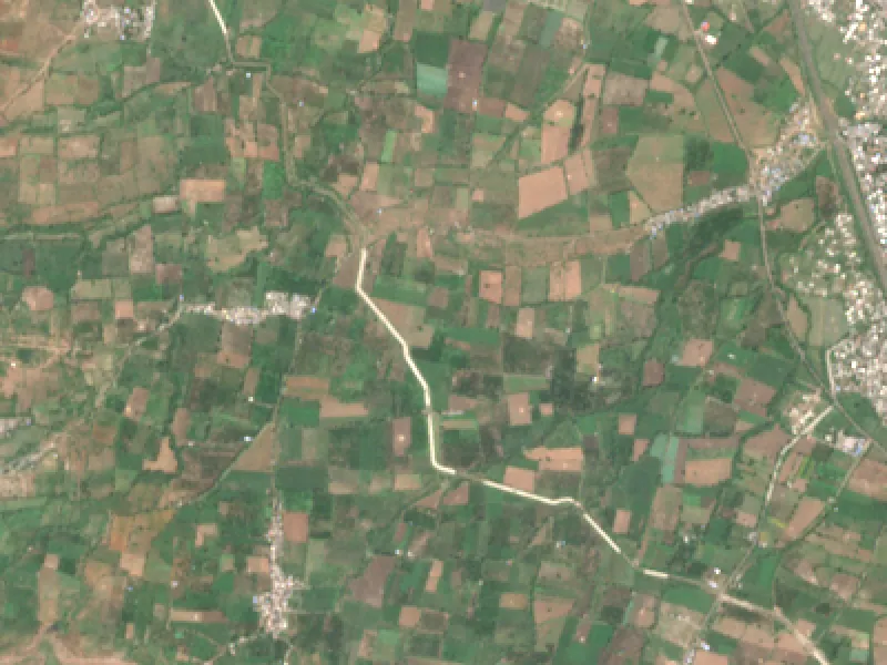 True-colour Sentinel-2 image of farm parcels west of Katol, Nagpur district, on 12 Oct 2026