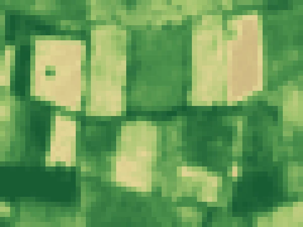 NDVI close-up of the same area