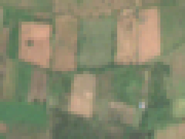 Sentinel-2 true-colour close-up of 600 m x 450 m of farmland near Katol, showing individual 10 m pixels